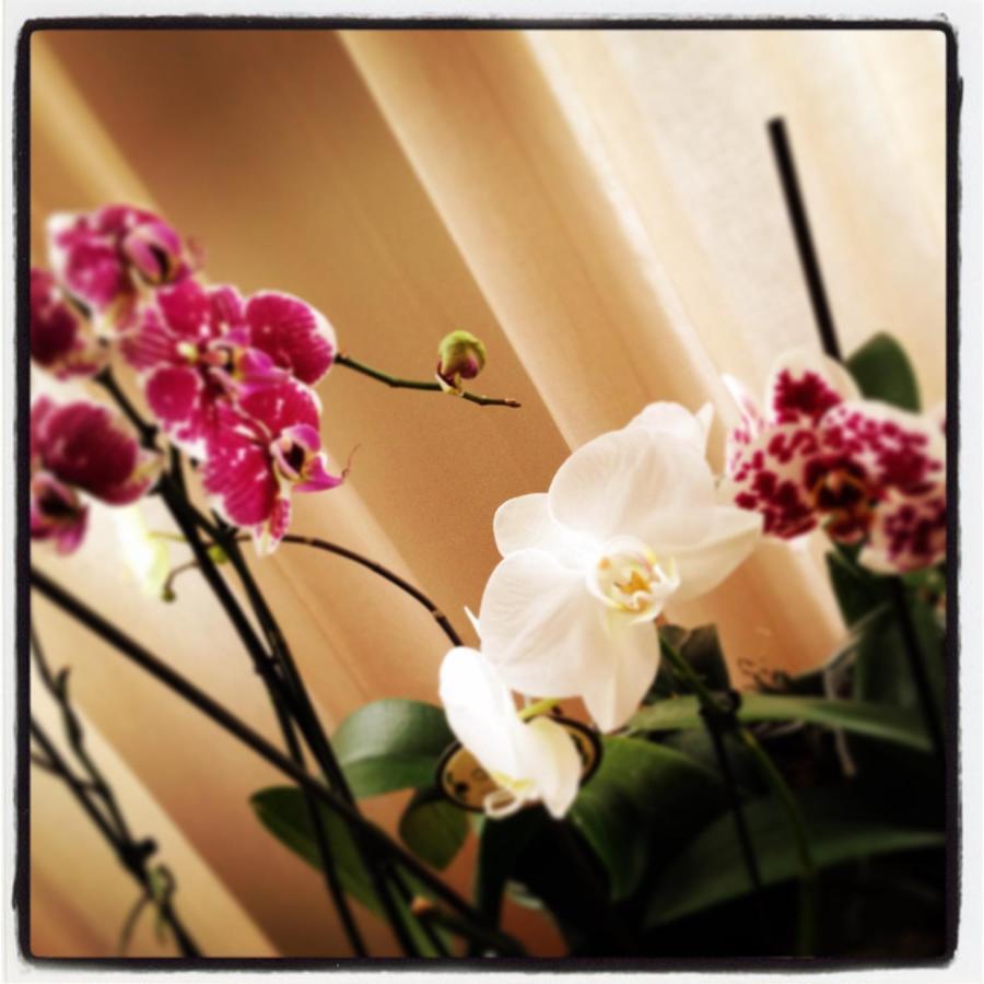 Al Cavour 34 Bed & Breakfast เตรนโต ภายนอก รูปภาพ